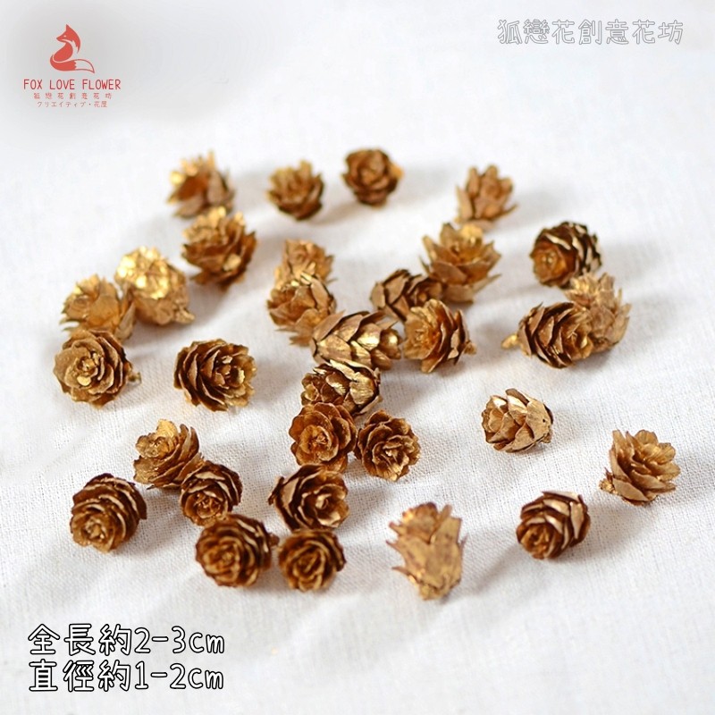 台灣現貨【乾燥果實松果菩提子】金色原色雪色小馬尾松果落葉松果 果實花材 花圈藤圈盆栽佈置 節慶 聖誕佈置 花藝材料