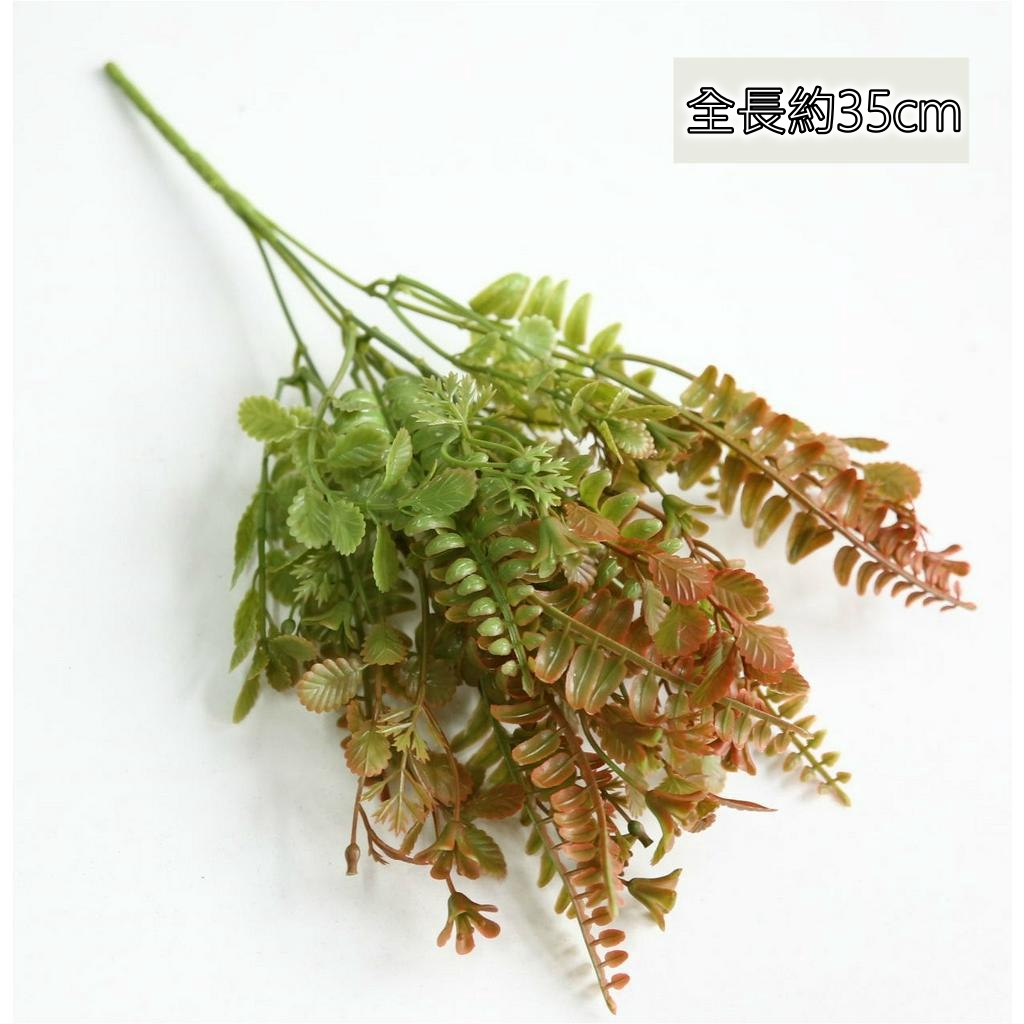 7叉配草(秋色)