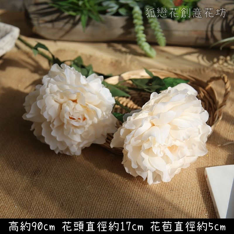 3頭若雲牡丹❰白❱