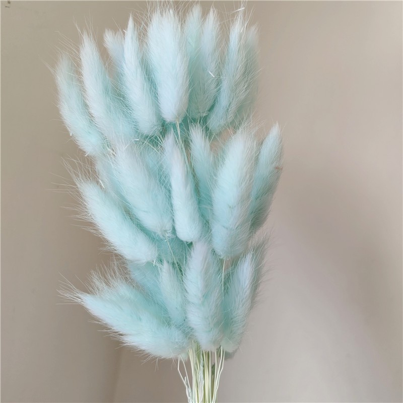 淺藍,1 支