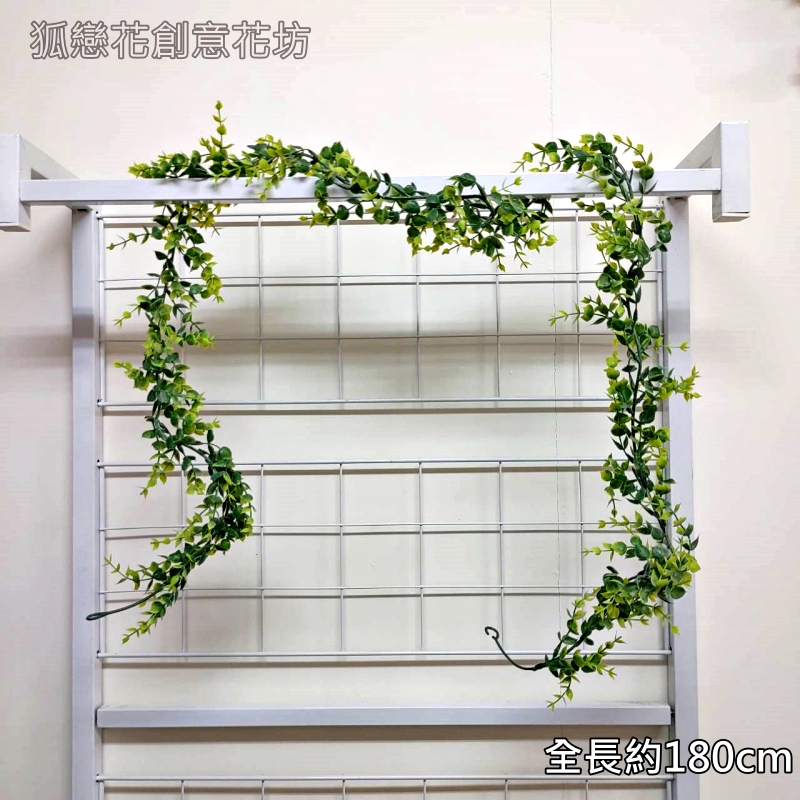 小尖葉無花尤加利藤蔓(綠色)