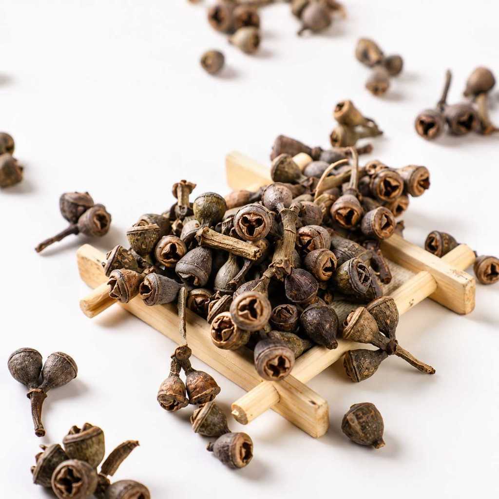 台灣現貨【尤加利果尤加利葉花材】尤加利果, 尤加利葉, 藍桉果, 琥珀果, 鈴鐺果, 小米果, 細葉桉果, 尖葉尤加