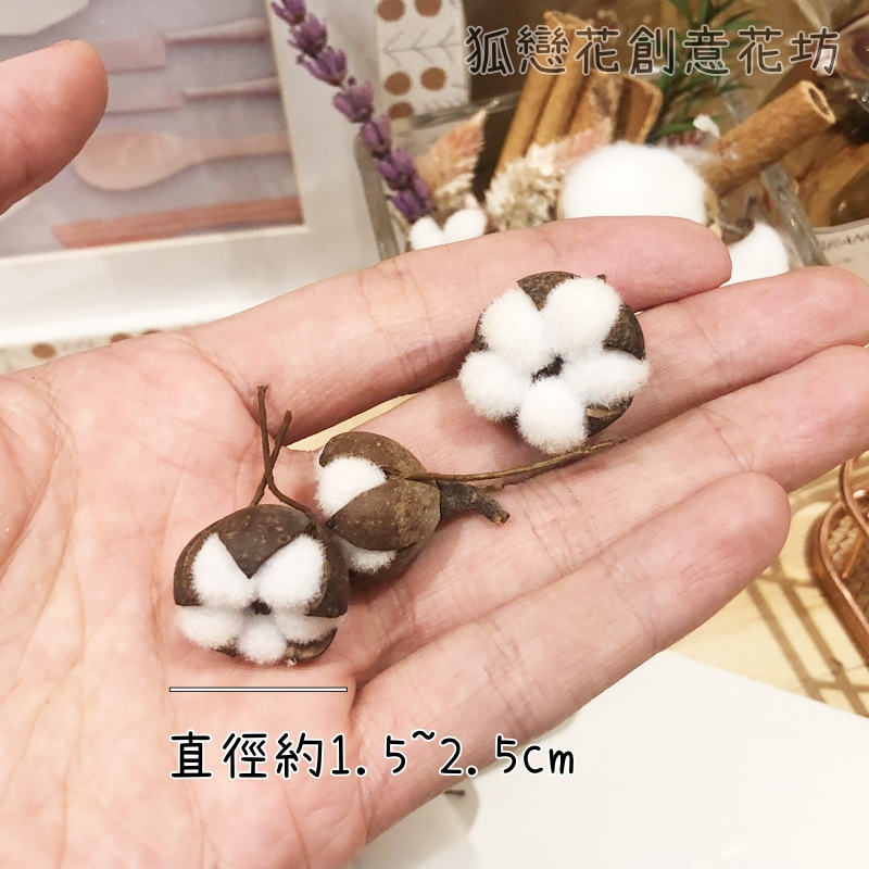 迷你小棉花(2顆)