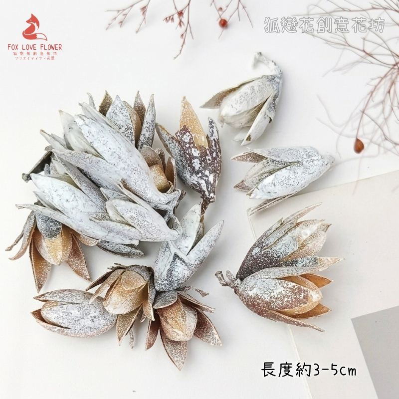 ❰雪色❱香椿果(5個)