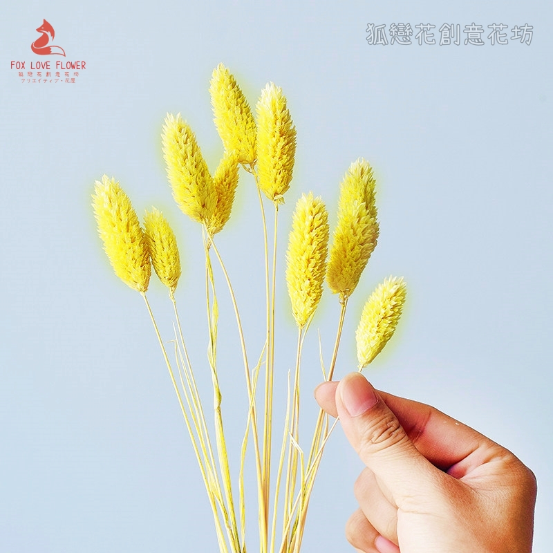 亮黃色,價錢為1枝的價格