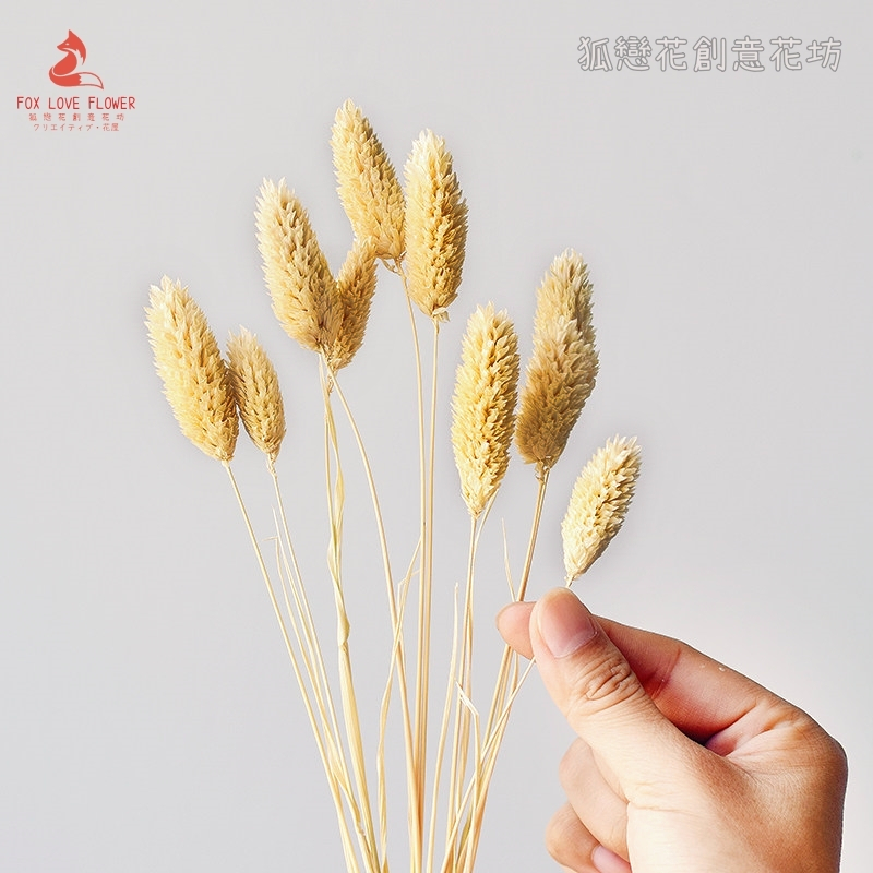 米黃,價錢為1枝的價格