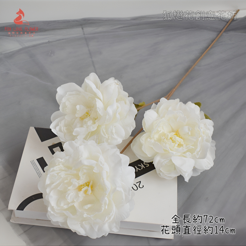 白色3頭焦邊大牡丹