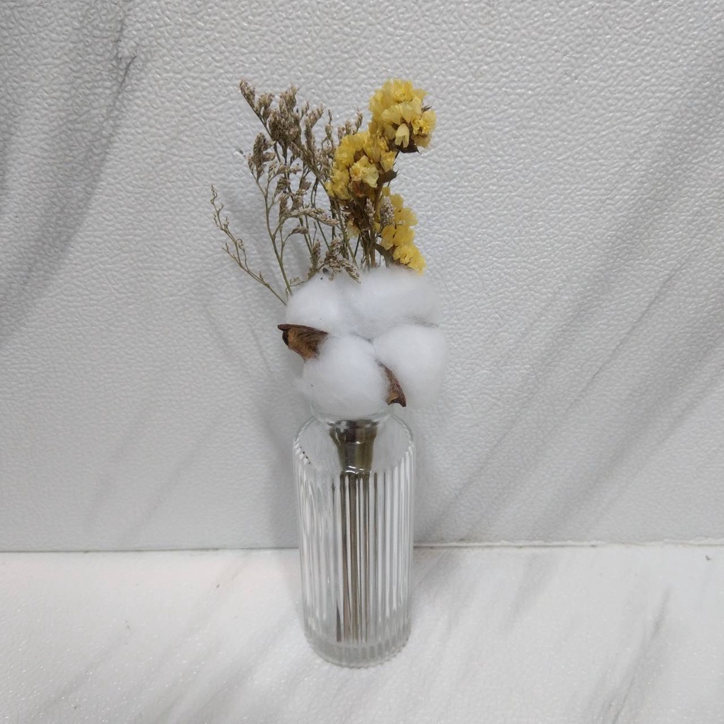 單朵棉花＋卡斯＋星辰,🦊~賣場商品眾多，歡迎參觀選購~🦊