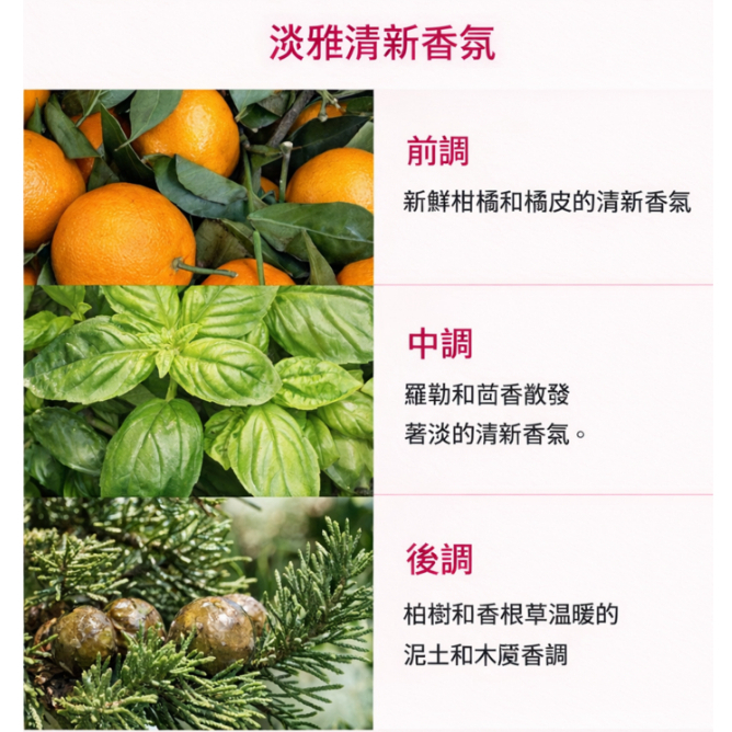 韓國 ATOPALM 頭皮舒緩護髮霜 210ml 溫和配方 日常頭皮養護 清爽不黏膩 髮絲柔順好整理
