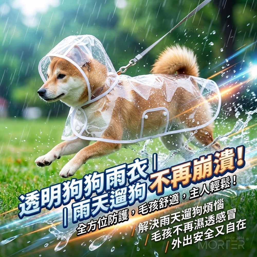 縮圖 1