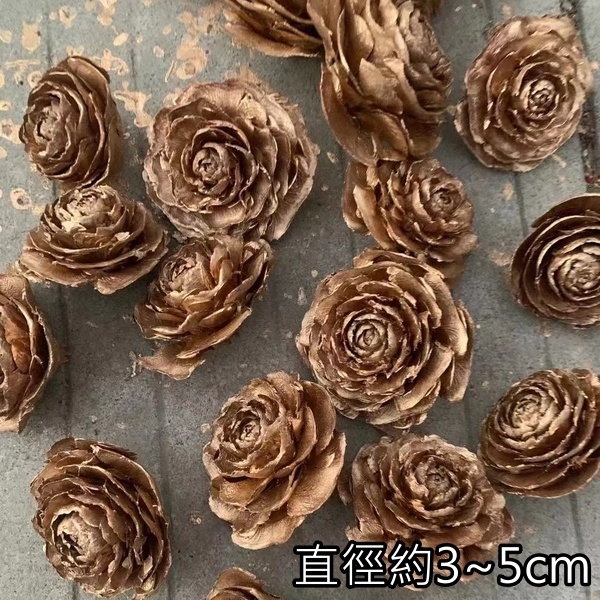 台灣現貨【乾燥花花頭素材】木玫瑰麥桿菊千日紅棉花刺芹草莓果 花圈藤圈手作包裝點綴 花藝材料 DIY 聖誕佈置