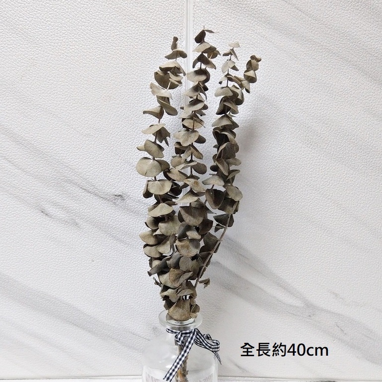 台灣現貨【乾燥葉材植物素材】尤加利楓葉銀杏銀葉菊麥穗果實 多款任選 花圈桌飾佈景手作配材 聖誕佈置 花藝材料 花圈藤圈 