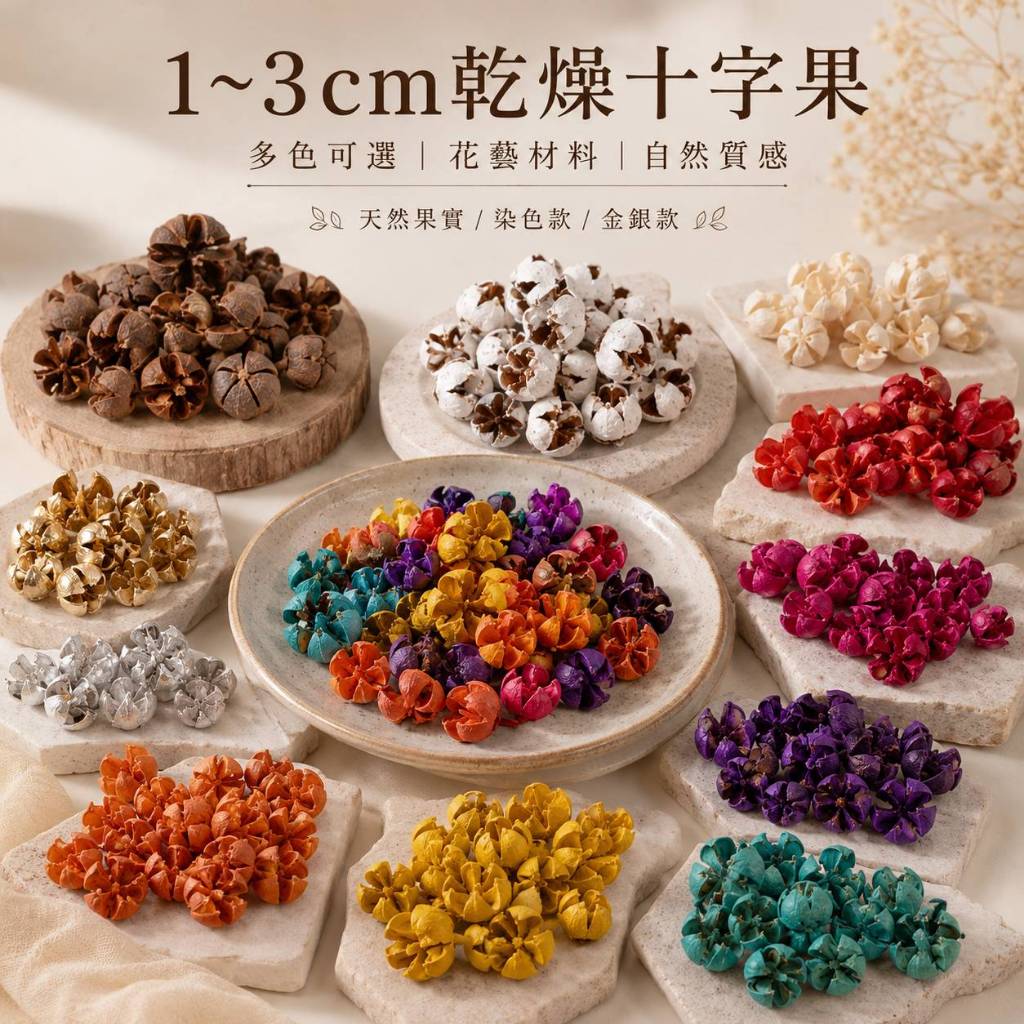 台灣現貨【乾燥十字果】十字果,開口笑,木荷果,乾燥果實,聖誕花藝,花圈材料,藤圈配材,桌飾佈置,拍照道具,微景觀素材