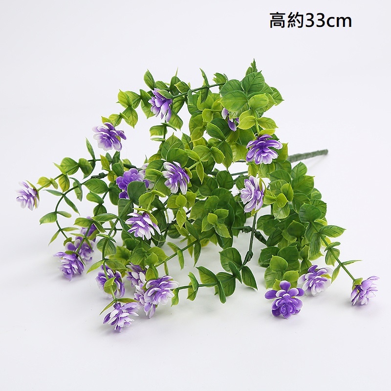 7叉帶花小尤加利(紫色)