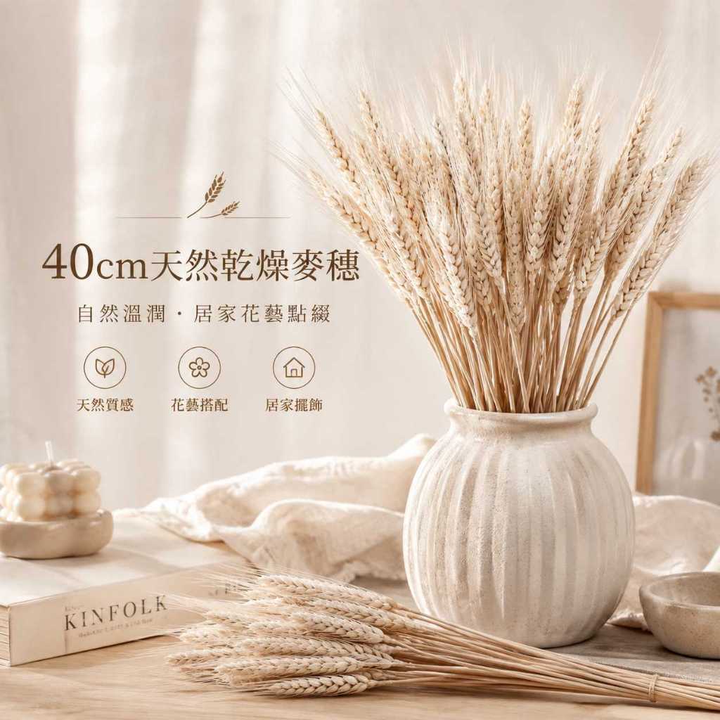 台灣現貨【40cm天然乾燥麥穗】乾燥麥穗, 天然麥穗, 乾燥小麥穗, 40cm乾燥花, 原色麥穗, 金色麥穗, 金黃色麥