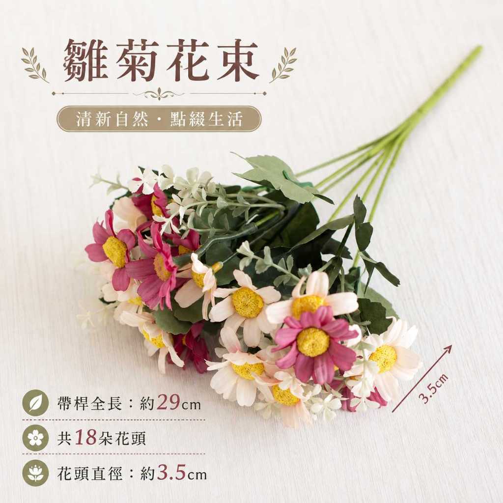 18頭小雛菊（油畫玫紅）