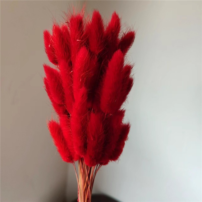 紅色,1 支
