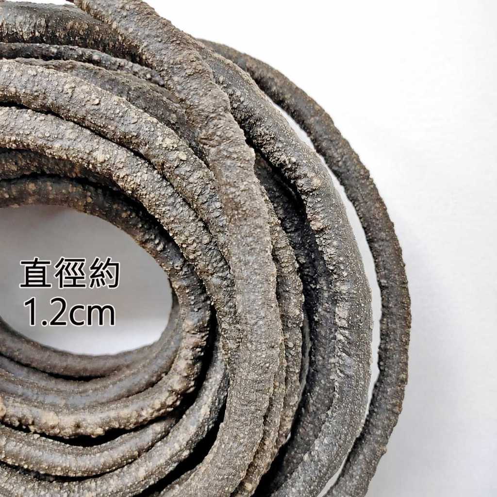C款直徑1.2cm(長1公尺)無葉