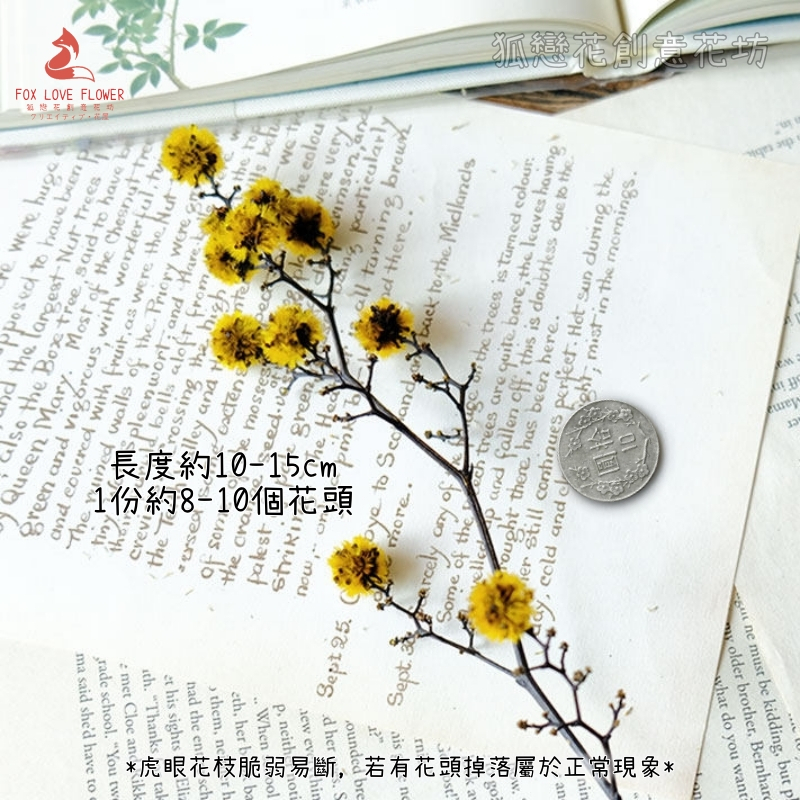 ❰黃色❱虎眼枝(1份約8-10顆花頭),🦊~賣場商品眾多，歡迎參觀選購~🦊