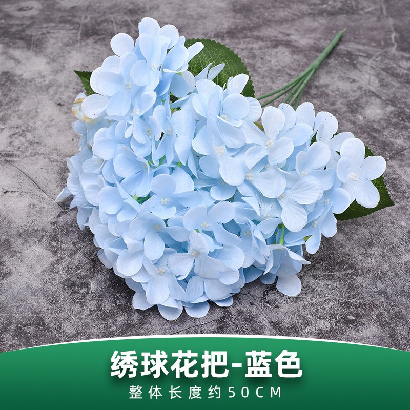 五叉大葉繡球花（藍色）