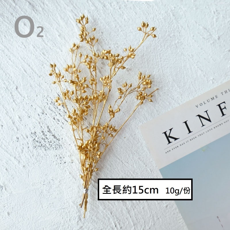 ❰金色❱小米果(細葉桉果)1份