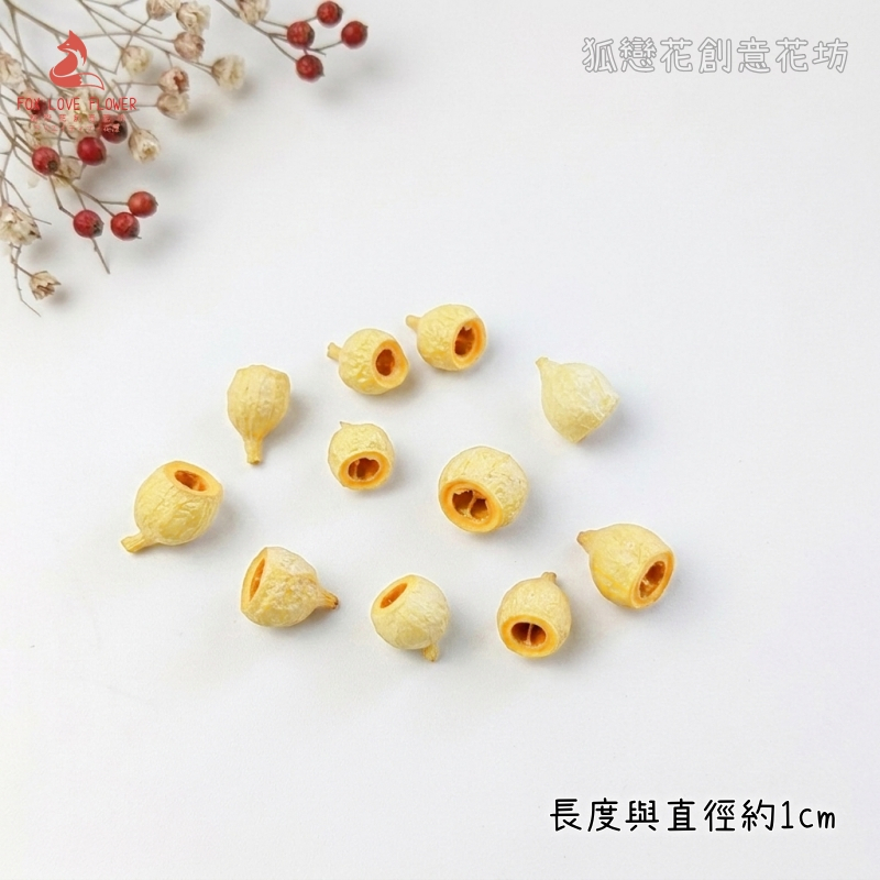 ❰米白❱大琥珀果(1份10顆)