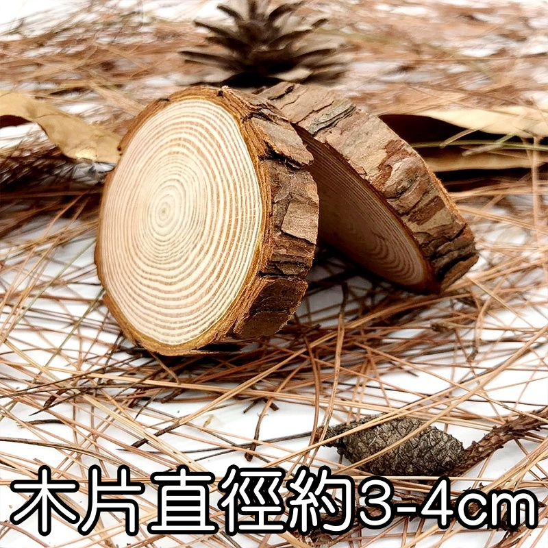 小圓木片(3片)