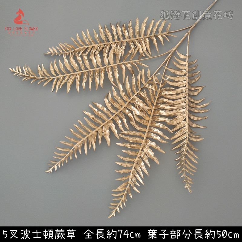 (金漆)五叉波士頓蕨草,🦊~賣場商品眾多，歡迎參觀選購~🦊