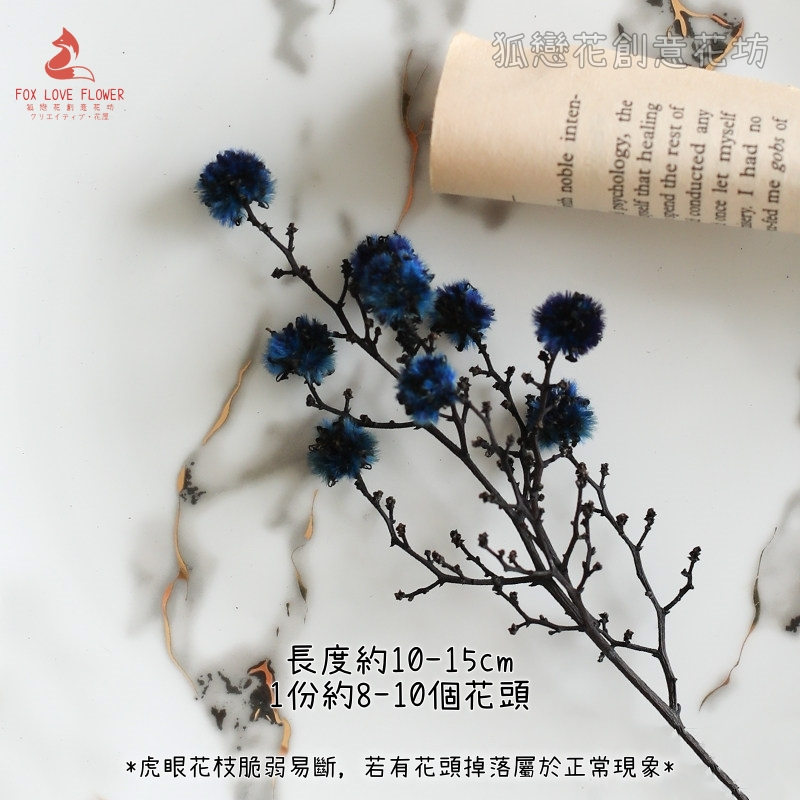 ❰深藍❱虎眼枝(1份約8-10顆花頭),🦊~賣場商品眾多，歡迎參觀選購~🦊