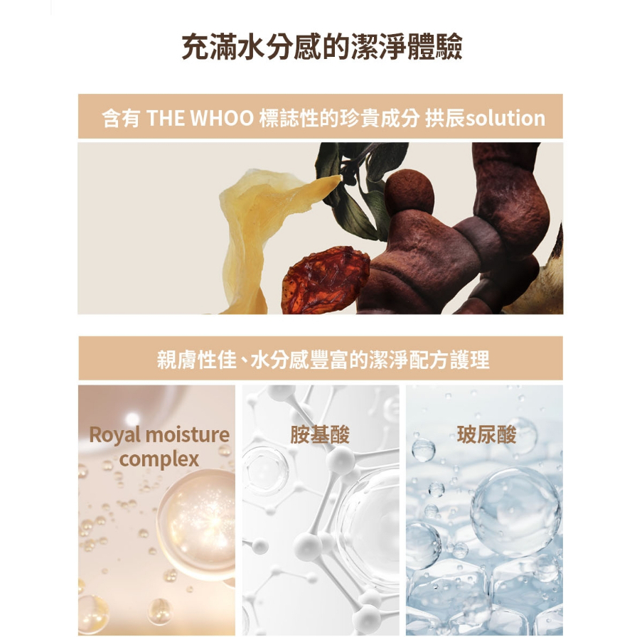 Whoo 后 拱辰享陰陽調和洗顏乳 180ml 胺基酸潔淨 溫和洗淨 水潤清爽 各膚質適用 韓系保養 頂級潔顏