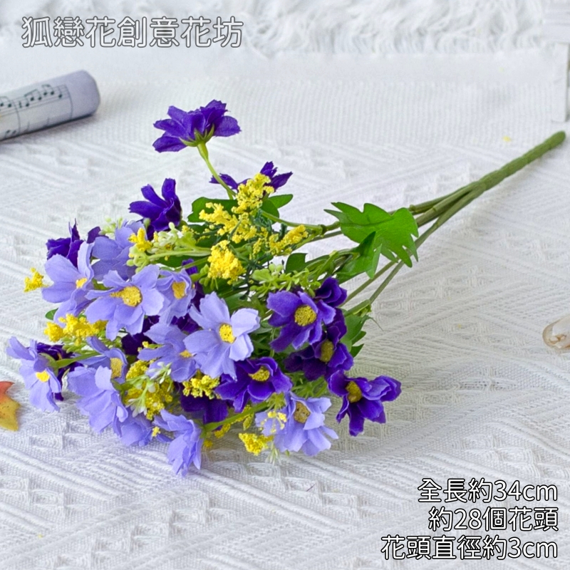 小雛菊（藍/紫）