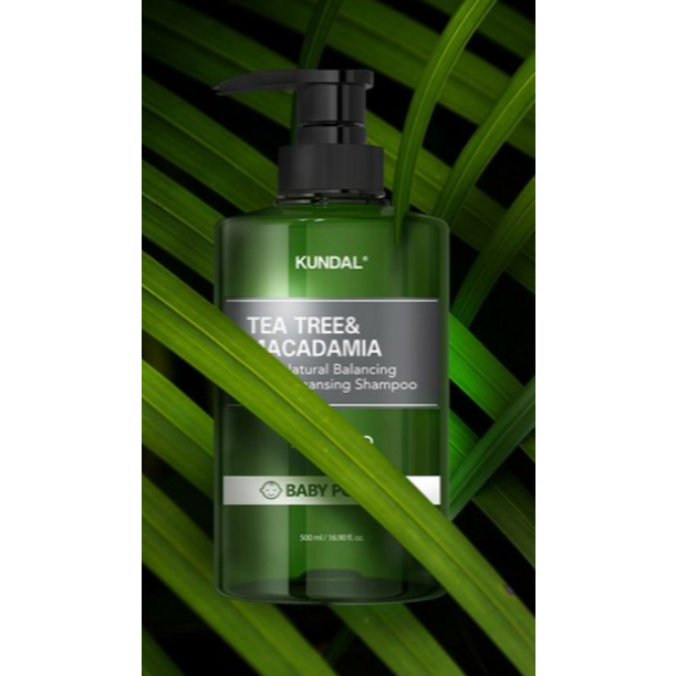 KUNDAL 昆黛爾 茶樹澳洲堅果清爽洗髮精(Baby Powder/500ml)