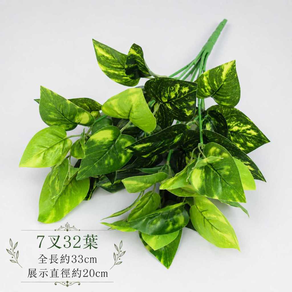 7叉小花蘿葉/花葉萬年青