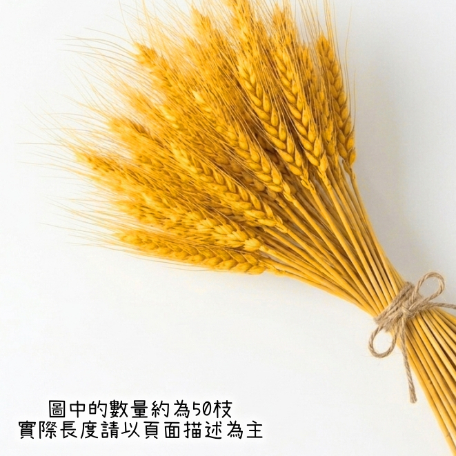 40cm(橘黃)染色麥穗(1支)