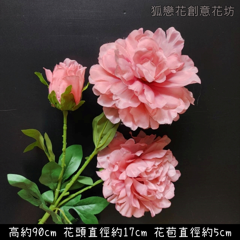 3頭若雲牡丹❰深粉❱