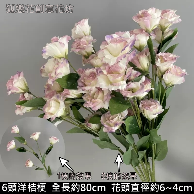 6頭洋桔梗❰漸層紫白❱