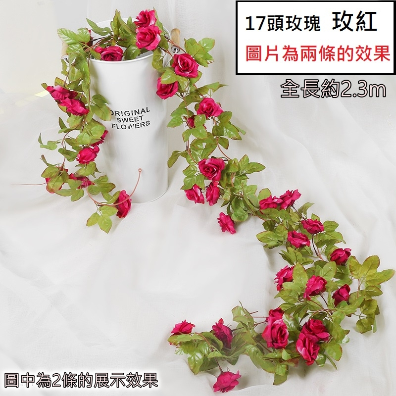 17頭玫瑰❰玫紅❱