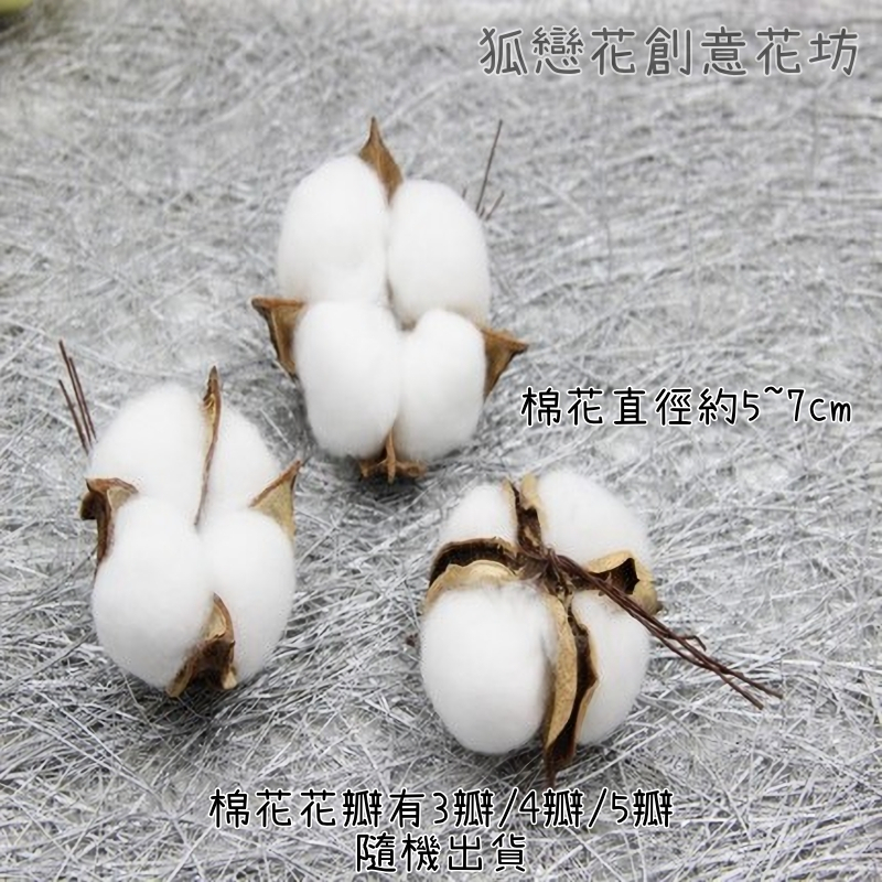 白色棉花(1顆)