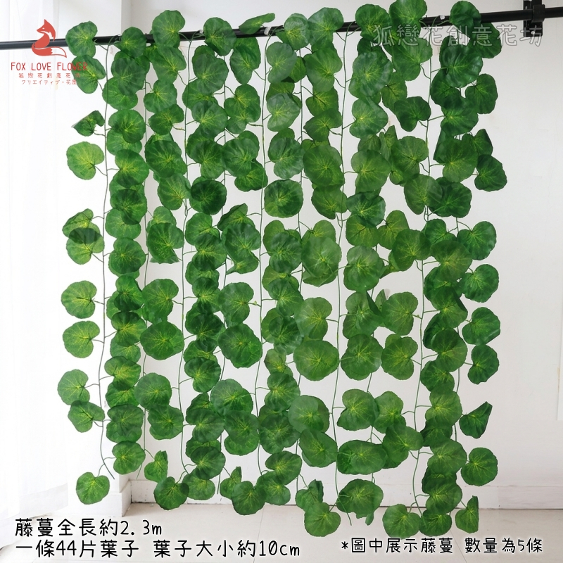 <大葉海棠>(買4送1),價格為1條的價格