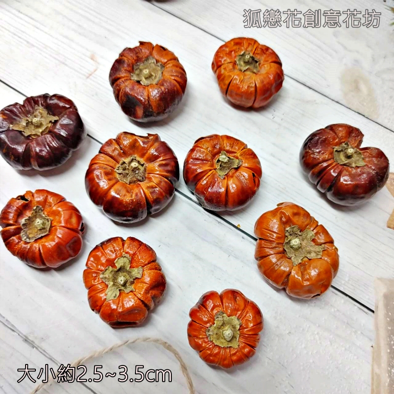 乾燥南瓜茄(10個)