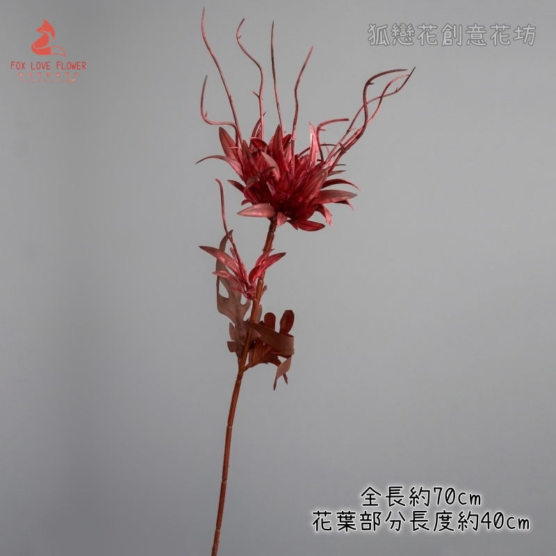 紅色單枝曇花(1份2枝)
