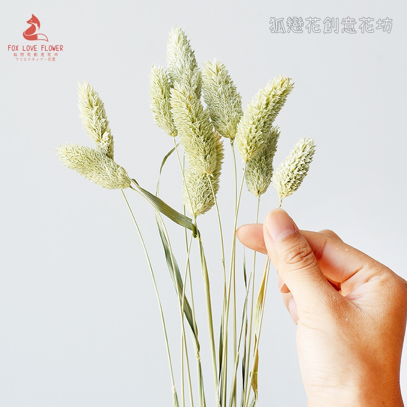 原色,價錢為1枝的價格