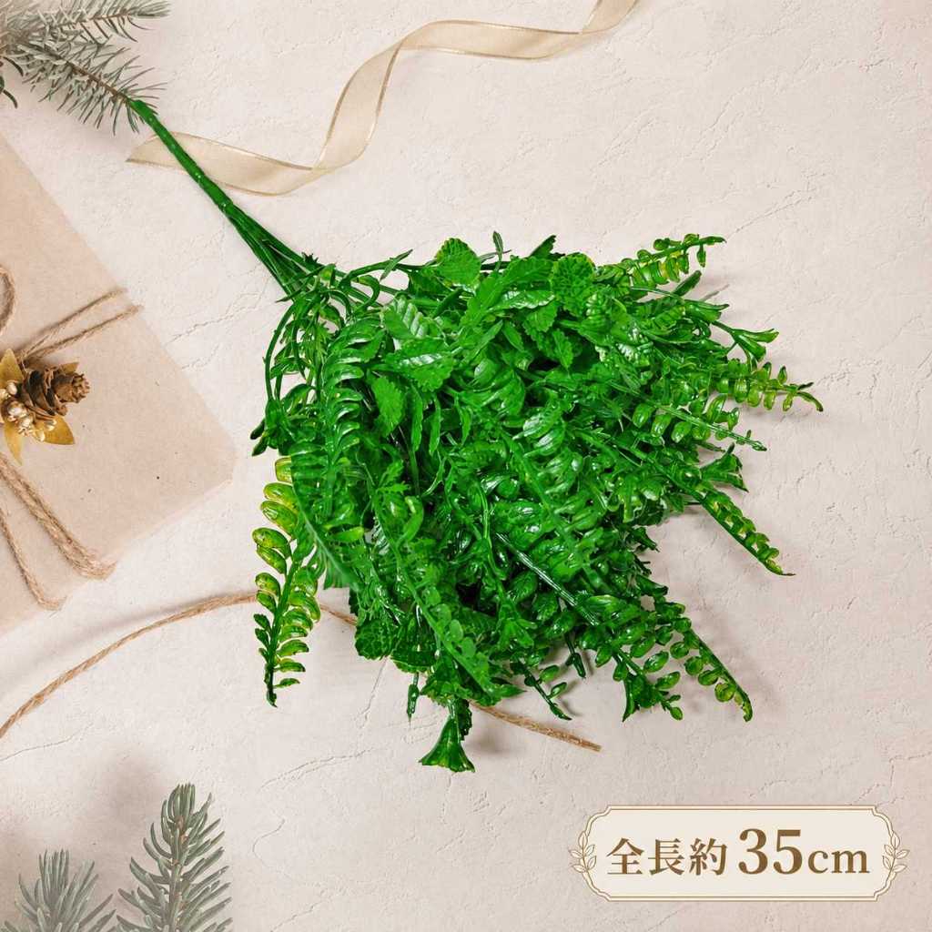 7叉配草(深綠)