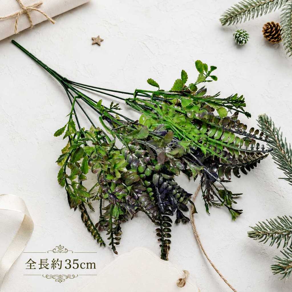 7叉配草(深紫)
