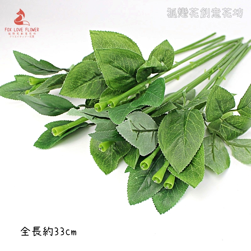 帶葉玫瑰花桿(5枝)
