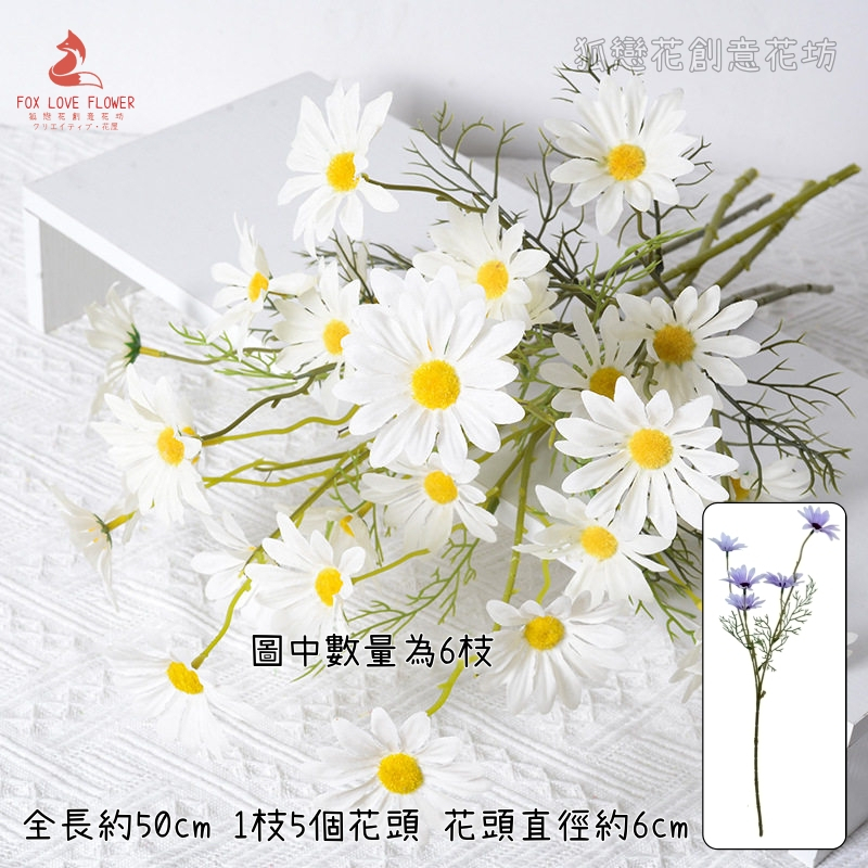 (50cm)5頭小雛菊(白色)1支