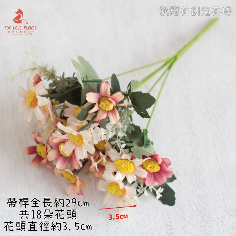 小雛菊（油畫雙色粉）