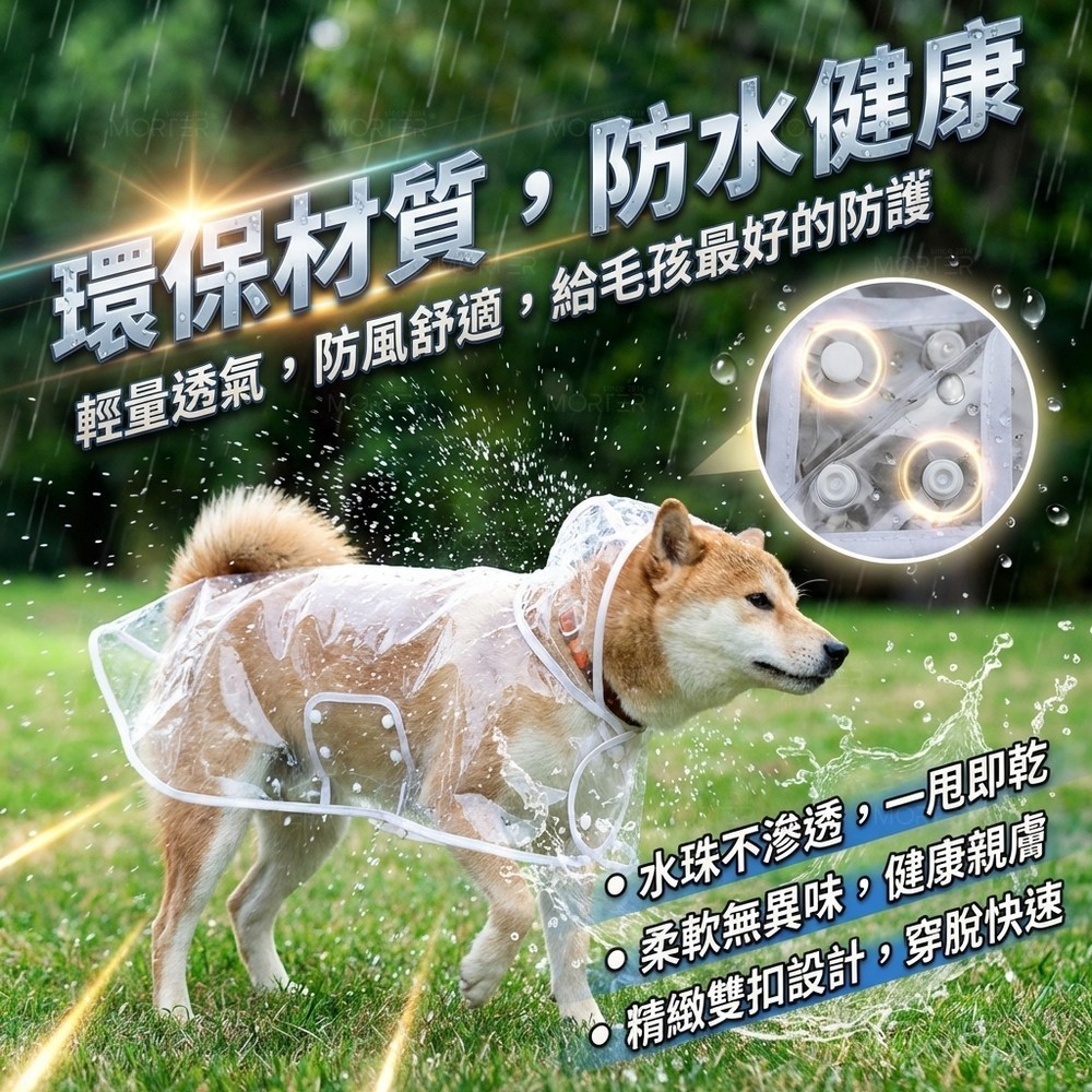 縮圖 5