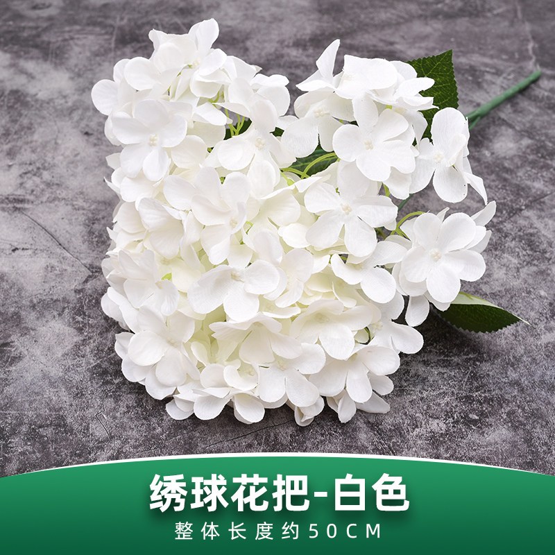 五叉大葉繡球花（白色）