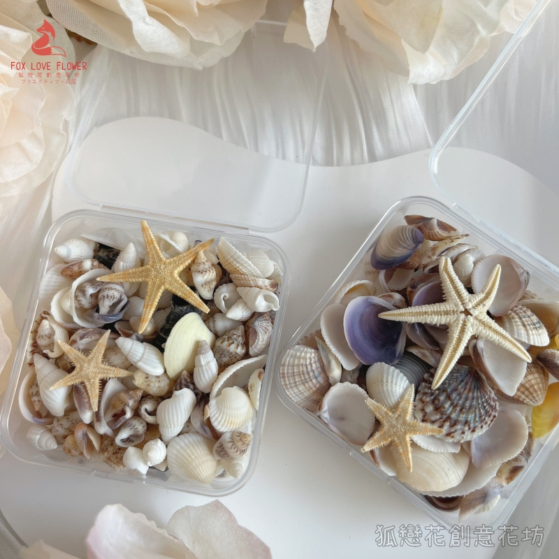 台灣現貨【夢幻海洋DIY藝術材料包】海星海螺貝殼混合包迷你海星 夢幻海洋DIY材料包, 海星材料, 海螺殼材料, 貝殼材